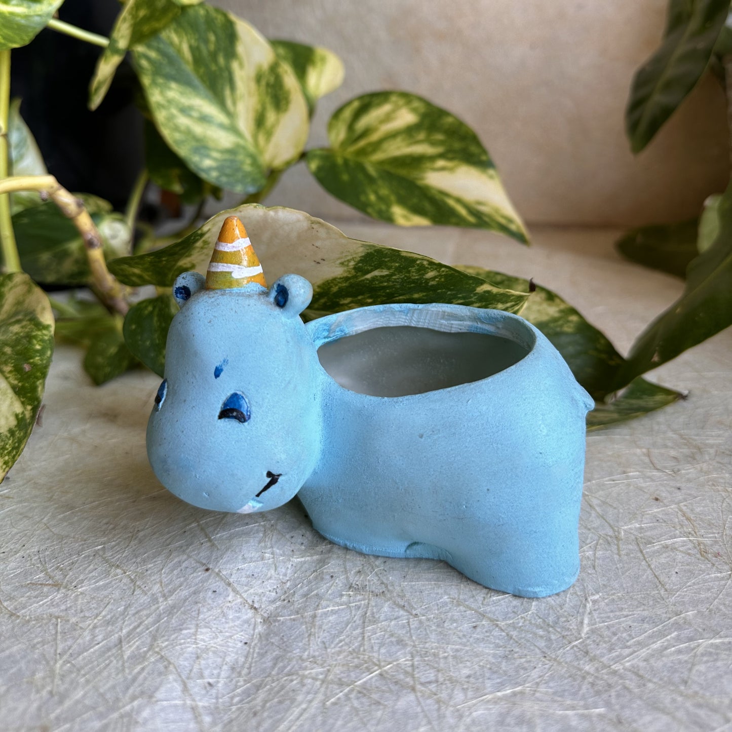 Risen Pots Rhinocers