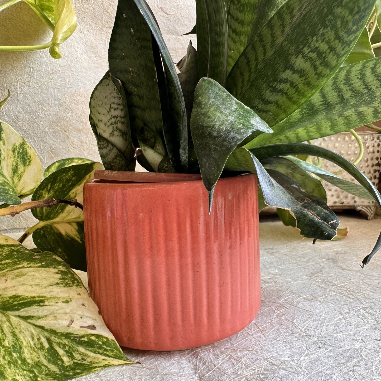 Cylinder Pot Medium Orange