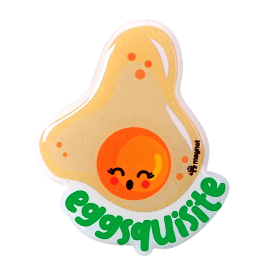 Fridge Magnets Eggstraordinary Eggsquisite