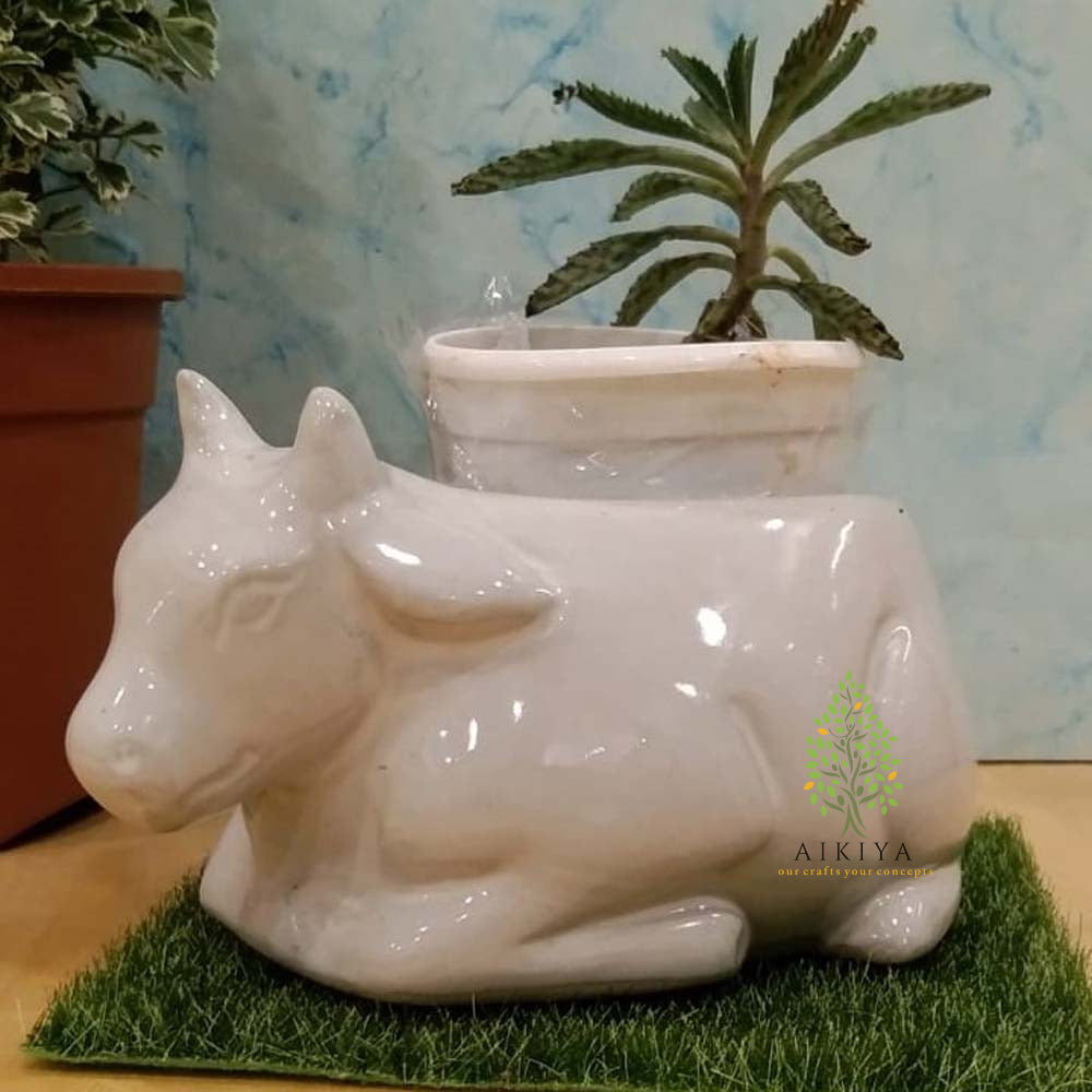 Cow Pot Jade