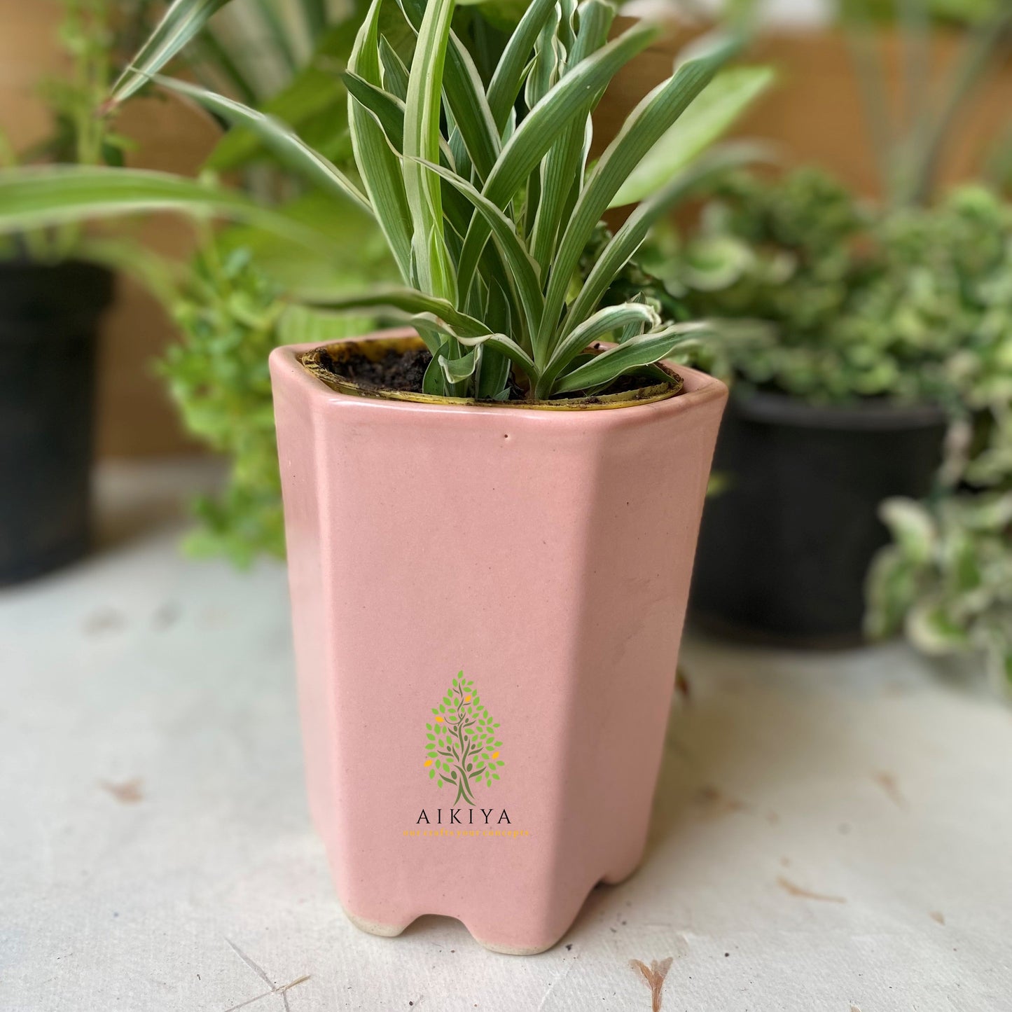 Hexagon Pot Medium