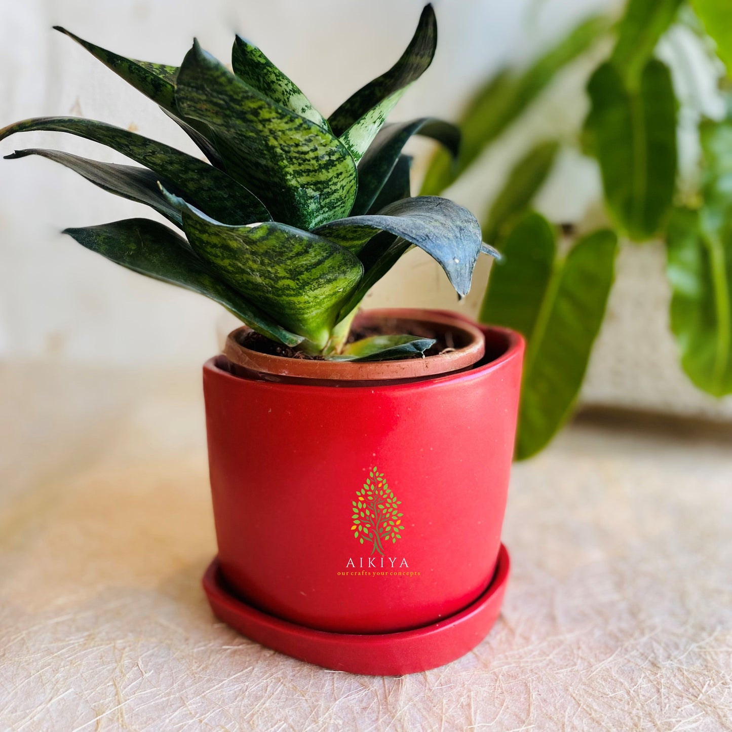 Heart Shape Pot