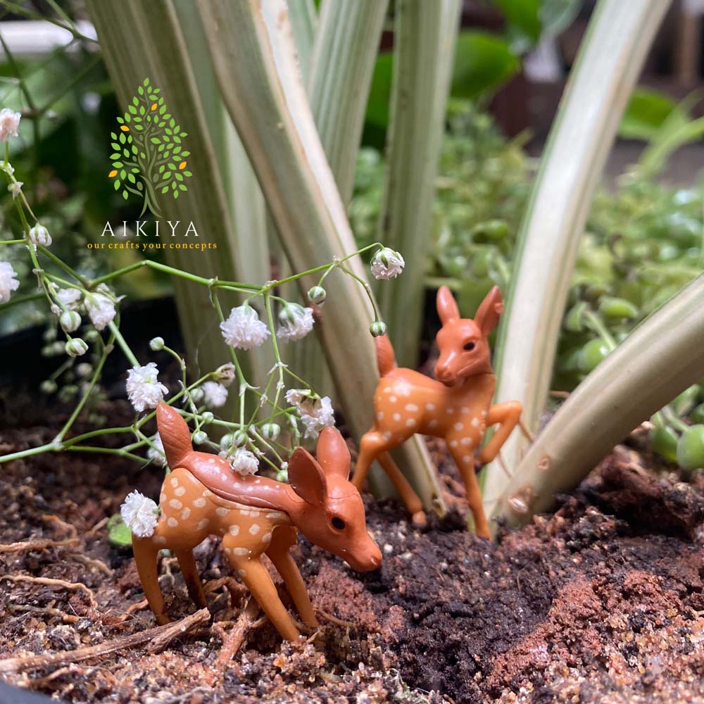 Miniature Deer