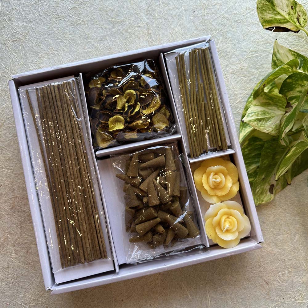 Citrus Burst - Incense Set