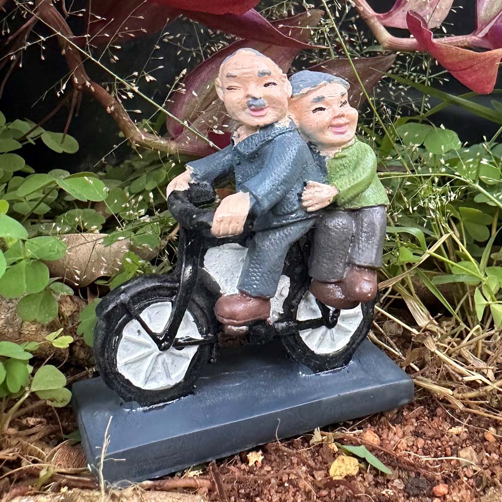 Grandparents On Bicycle