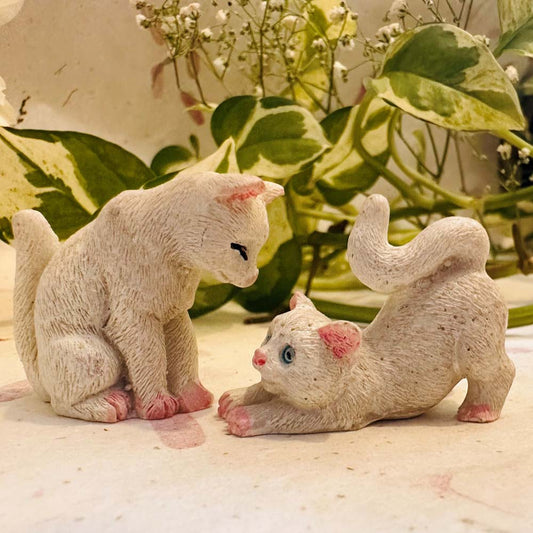 White Kitten Each