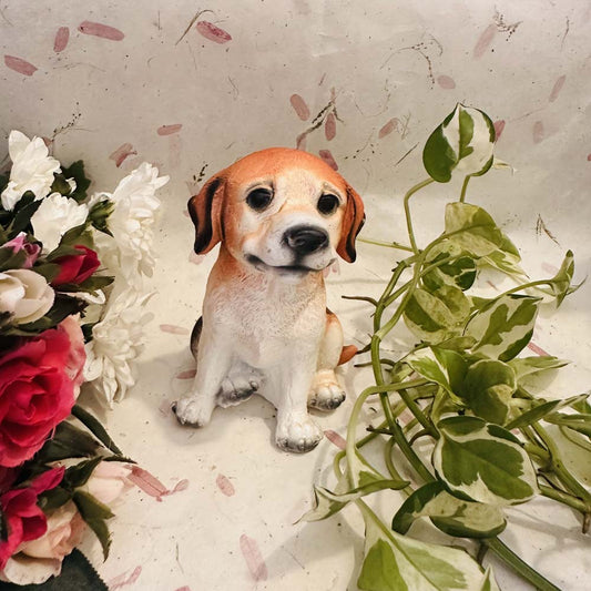 Orange And White Dog