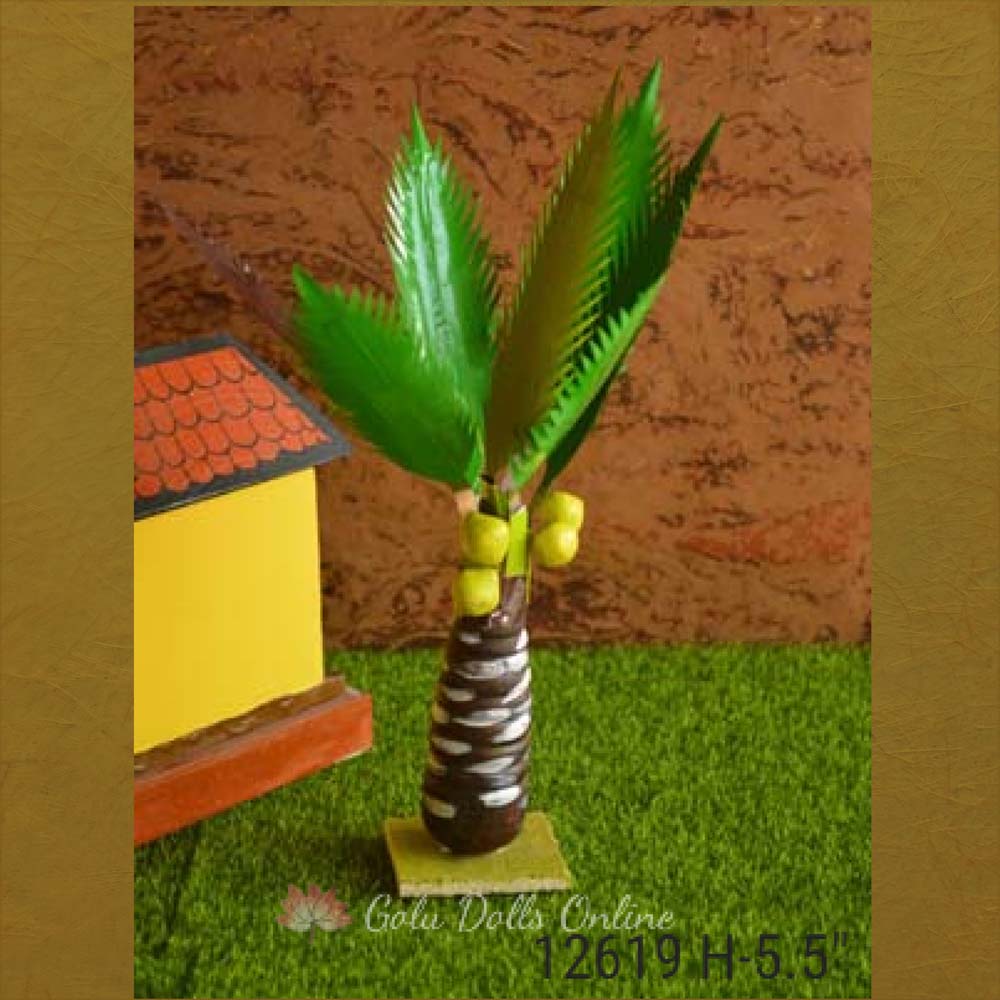 Coconut Tree